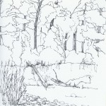 Fish Creek