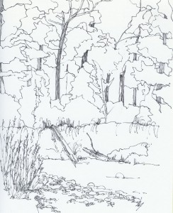 Fish Creek
