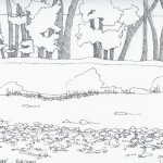 Layers of the Creek