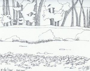 Layers of the Creek