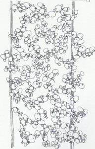 Doodle