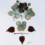 Pressed Flowers