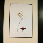 100Series-Zen Zen