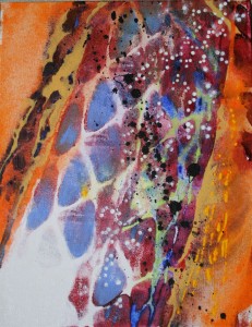 Festival Colours